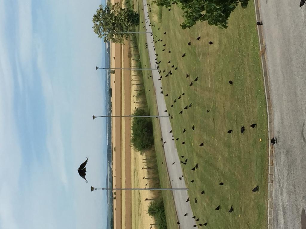 Birdland Villapark Golf View Бюк Экстерьер фото